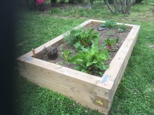 Community-garden-300x225.jpg